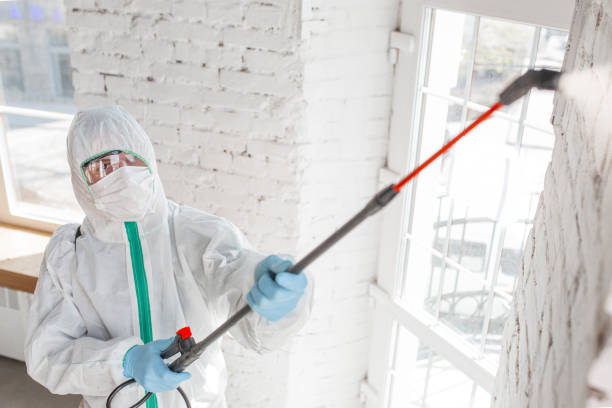 Best Asbestos and Lead Testing During Mold Inspection  in Merced, CA