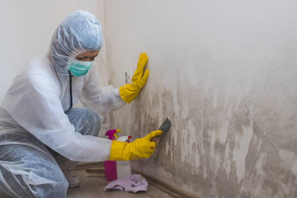 Best Mold Removal for HVAC Installations  in Merced, CA