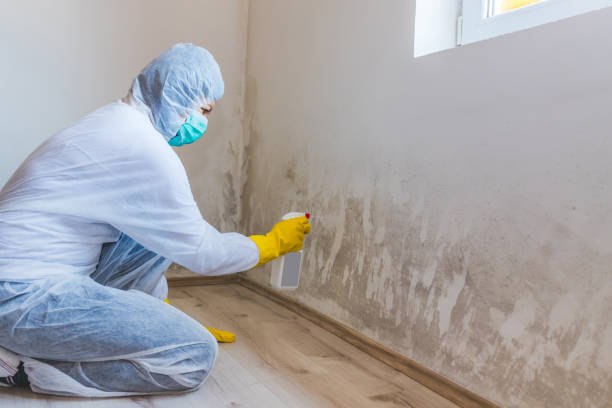 Best Mold Odor Removal Services  in Merced, CA