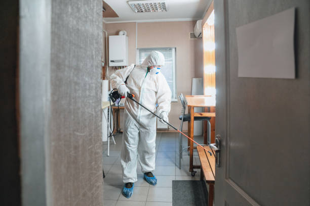 Best Water Damage & Mold Remediation  in Merced, CA