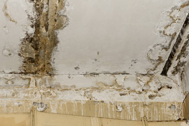 Best Real Estate Mold Inspection  in Merced, CA