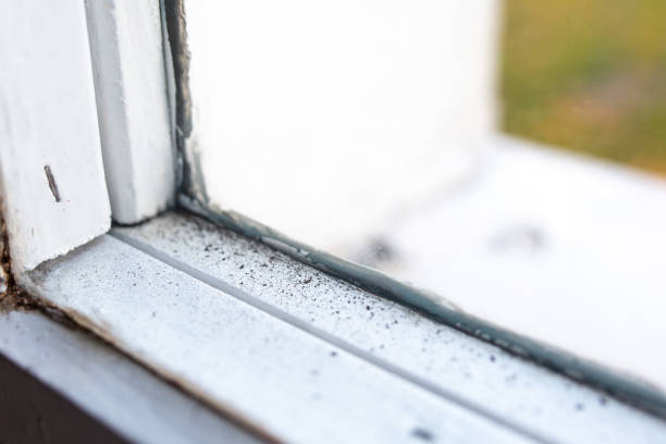 Best Mold Remediation for Rental Properties  in Merced, CA