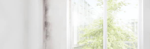 Best Mold Prevention Services  in Merced, CA