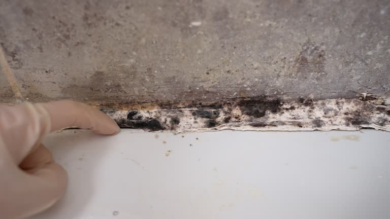 Best Air Quality Testing for Mold Spores  in Merced, CA